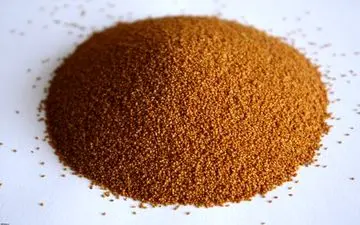 روزه داران خاکشیر بخورند