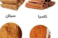 دارچین سیلان در مقابل دارچین کاسیا: کدامیک برای سلامتی بهتر است؟
