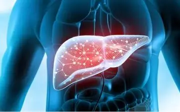 این افراد اگر رعایت نکنند روزی کبدشان چرب می شود