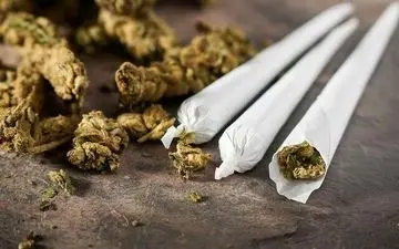 مصرف گل روی ذهن و مغز چه تاثیراتی ‌می‌گذارد؟