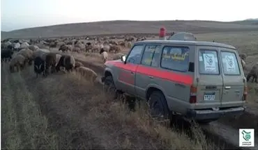  اعزام کارشناسان کشاورزی بسیجی به مناطق زلزله‌زده کرمانشاه