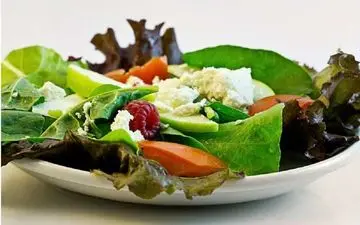 کسانی که قصد دارید گیاه‌خوار شدن دارند این مطلب را بخوانند

