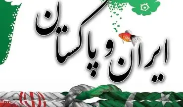  پاکستان به دنبال سهم خواهی از بازار ایران