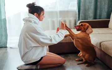 نقش حیوانات خانگی در سلامت روان؛ از کاهش استرس تا افزایش رضایت از زندگی