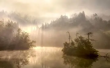  عکس منتخب نشنال جئوگرافیک | شبنم صبحگاه