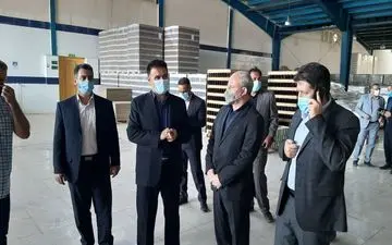 حاکم بودن نگاه جزیره‌ای به تولید آسیب جدی صنعت کشور