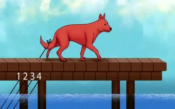 بگو ببینم دم سگ به کدام طناب گیر کرده است؟