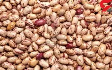  واردات لوبیا 27 میلیون دلاری شد/ غذای ایرانی با طعم لوبیای چینی
