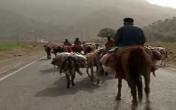 از راه رسیدن موسم بهاری کوچ عشایر + فیلم