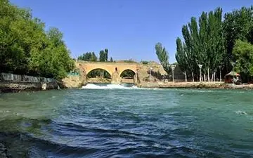 مرگ همزمان یک زن و 2 مرد / زنده ماندن زن جوان در ثانیه های آخر 
