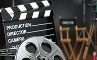  ساخت یک فیلم مشابه «هامون» سینمای ایران