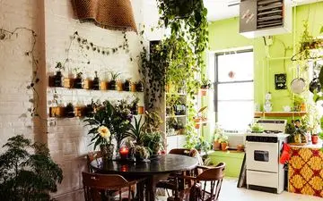 این گیاهان آپارتمانی کشنده هستند!