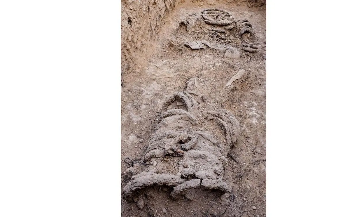 کشف تکان‌د‌هنده جسدی 1500ساله در غل و زنجیر + جزییات
