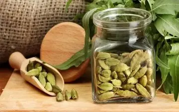 راز لاغری با هل: کاهش وزن و چربی‌سوزی بدون رژیم‌های سخت!