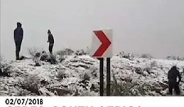 بارش برف در آفریقا، گرمازدگی در کانادا!+ فیلم 