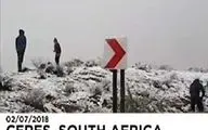 بارش برف در آفریقا، گرمازدگی در کانادا!+ فیلم 