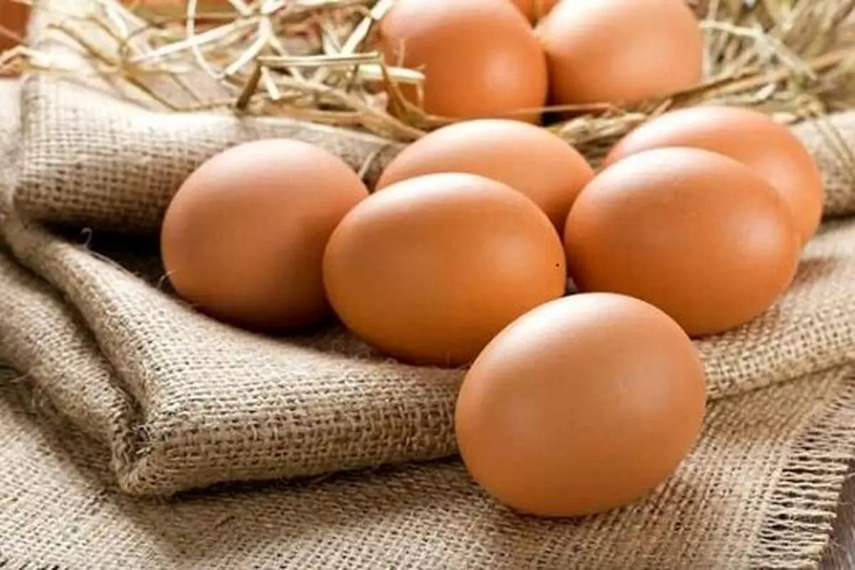 چرا قیمت تخم مرغ افزایشی شد؟‌ 