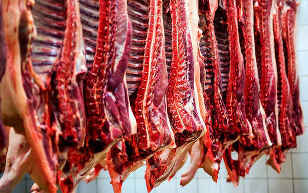
عرضه گوشت گرم با قیمت مصوب از فردا 