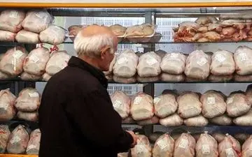 واردات گوشت و تخم‌مرغ تا ارزانی ادامه دارد/ مرغ وارد نمی‌کنیم