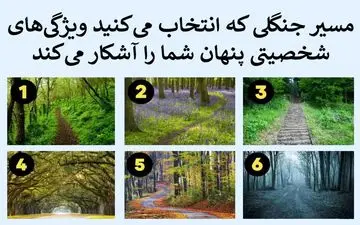 تست شخصیت؛ کدام مسیر جنگلی را انتخاب می‌کنید
