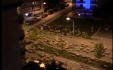  اتفاق عجیب در یکی از خیابان های قرنطینه ترکیه!