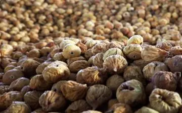 بیش از ۴ تن انجیر قاچاق در کرمانشاه کشف شد