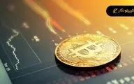 آموزش، اخبار، تحلیل و سیگنال رایگان در کریپتونگار