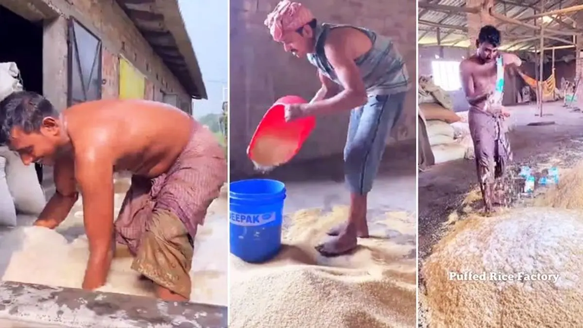 اگر برنج هندی مصرف میکنید این ویدئو را از دست ندهید! |  بعد از دیدن این کلیپ دیگر لب به برنج هندی نمی زنید