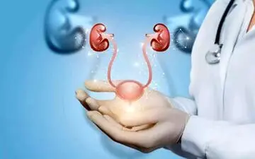 سم‌زدایی مثانه را با این نکات انجام دهید!