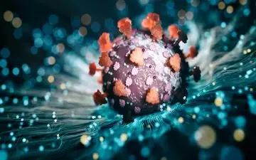 «اریس»، زیرسویه جدید کروناویروس دارد از سایر سویه‌ها پیشی می‌گیرد