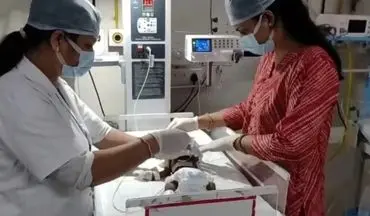 گریه‌هایی از زیر خاک: نجات نوزاد زنده‌به‌گور شده توسط یک چوپان/ وضعیت نوزاد وخیم است