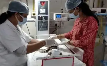 گریه‌هایی از زیر خاک: نجات نوزاد زنده‌به‌گور شده توسط یک چوپان/ وضعیت نوزاد وخیم است