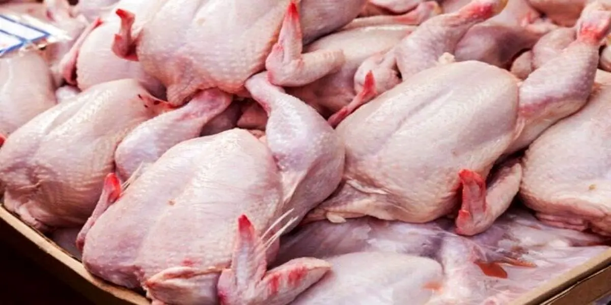 قیمت مرغ در این اماکن کیلویی ۵۳ هزار تومان است 