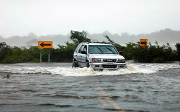 ورود دلفین‌ها به شهرهای آمریکا + فیلم 