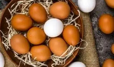 رابطه مصرف تخم مرغ با بیماری قلبی و عروقی