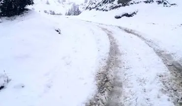 شدت بارش برف برق تعدادی از روستاهای بافت را قطع کرد