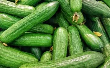 خیار را با این خوراکی نخورید
