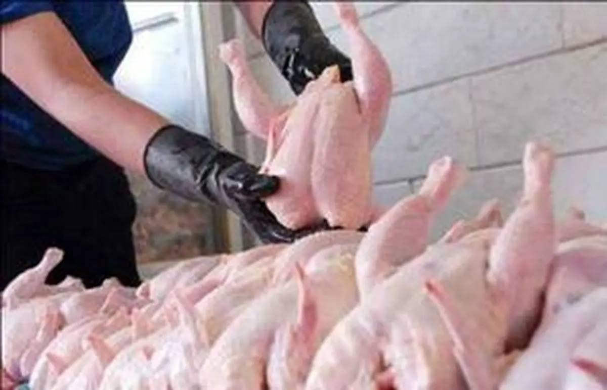قیمت مرغ در آستانه ورود به کانال ۱۵هزار تومانی