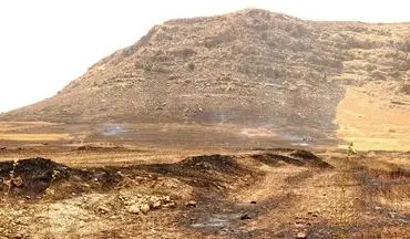  بیش از ۲۰ هکتار از اراضی قلعه تل در آتش سوخت