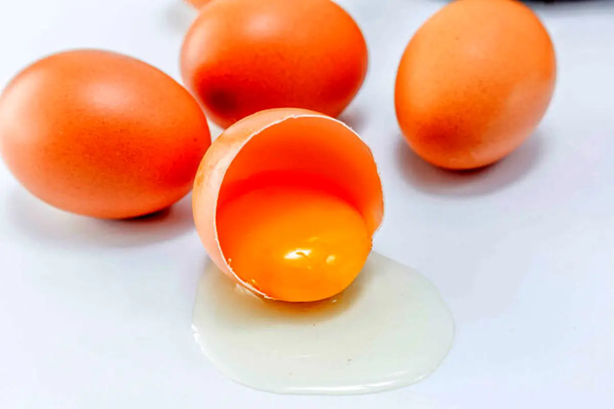 تخم مرغ کلسترول خون را بالا نمی برد