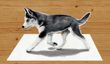 ویدیویی دیدنی از نقاشی سه بعدی که سگ را فراری داد