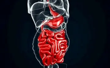 سم زدایی روده و کبد با ترب قرمز