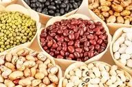 راهکارهای کاهش نفخ بعد از خوردن حبوبات/چگونه از فواید غذایی این غذاها لذت ببریم بدون ناراحتی؟