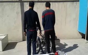 سارقین حرفه ای پلاک های خودرو در برازجان دستگیر شدند