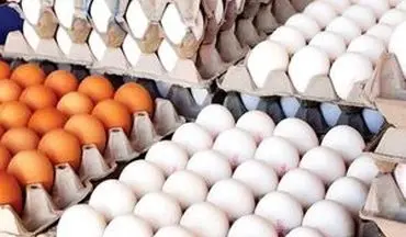 قیمت تخم مرغ در میادین تره بار