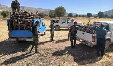 کشف بیش از ۲۰ تن چوب جنگلی در شهرستان کرمانشاه