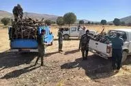 کشف بیش از ۲۰ تن چوب جنگلی در شهرستان کرمانشاه