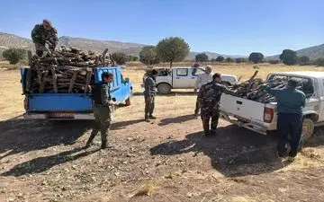 کشف بیش از ۲۰ تن چوب جنگلی در شهرستان کرمانشاه