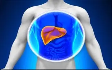 ۶ خوراکی محبوب آسیب رسان به کبد
