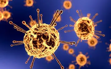 ماندگاری ویروس کرونا روی پوست و مو چقدر است؟